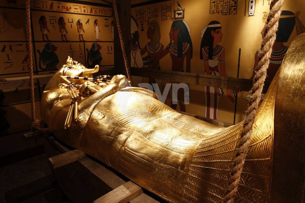 11879119_494404600740917_7539311658234908501_o