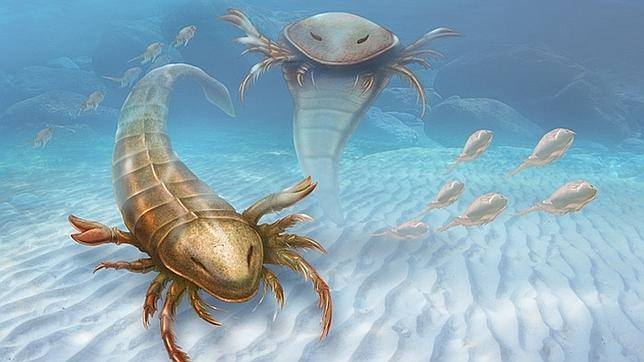 11988721_489107247937319_3498649103862233820_n